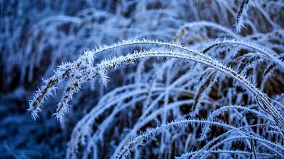 Mroźny weekend  – zachowaj ostrożność