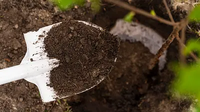 Terrawit za 5 zł dla mieszkańców gminy Środa Wielkopolska