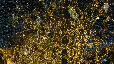 "Rozświetlamy park" – magiczne świąteczne wydarzenie w Środzie Wielkopolskiej